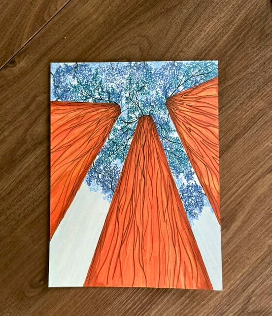 Looking up through towering redwood trees — painted canvas